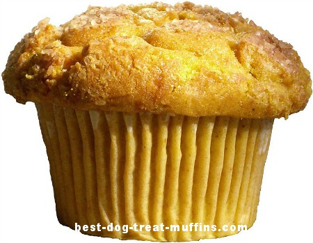 homemade carrot dog muffins