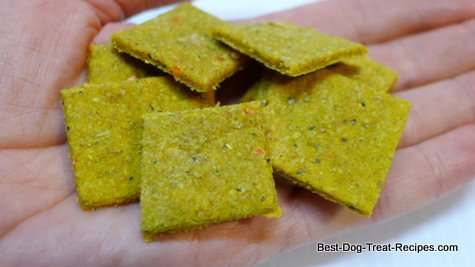 Homemade cheese dog biscuits