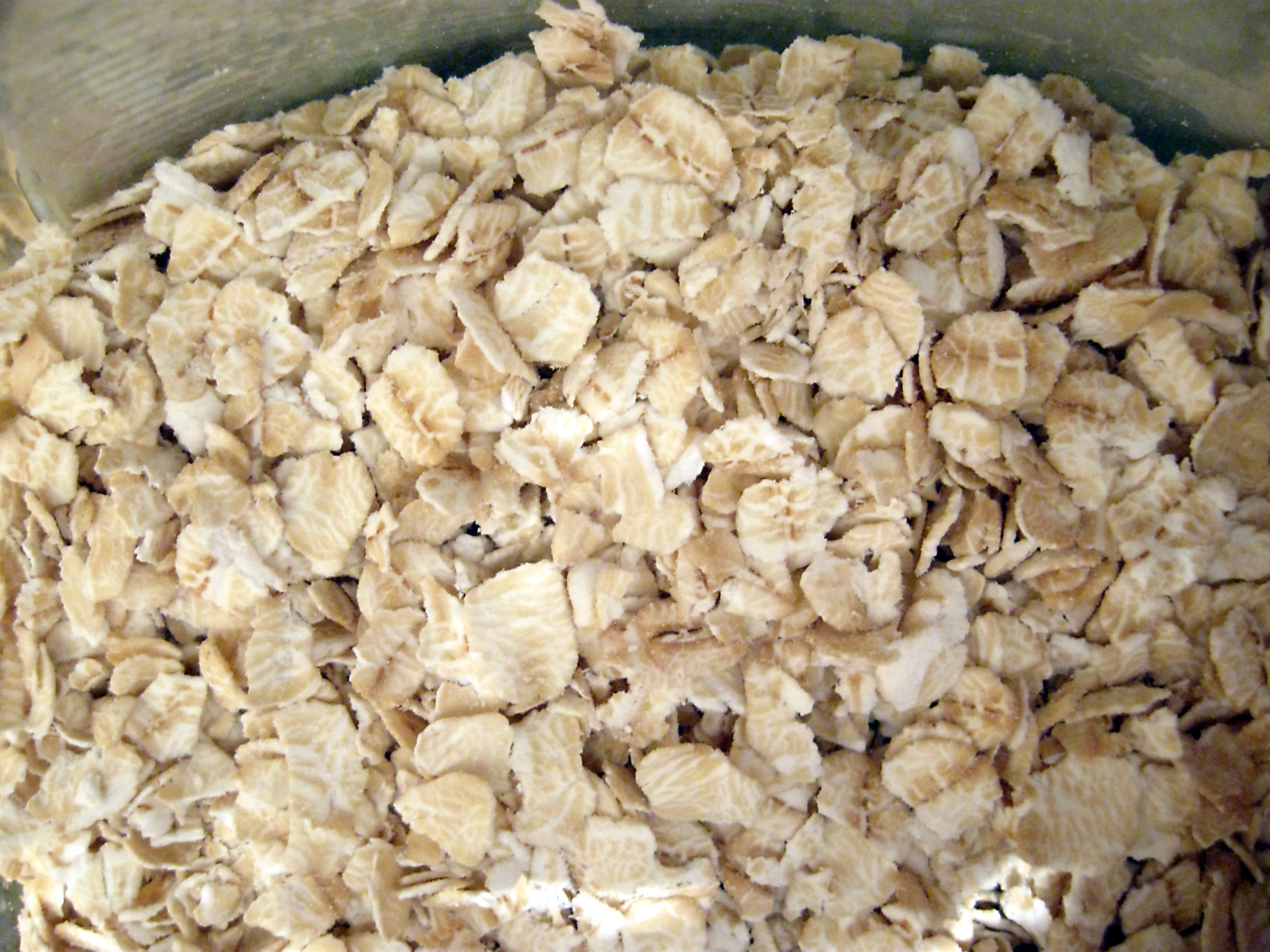 oatmeal for dogs