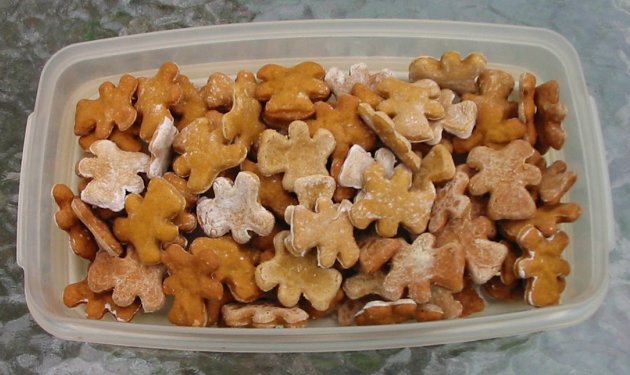 pumpkin dog cookies in a plastic container