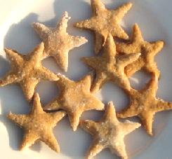 pumpkin cookies for dogs, one of the dog treat recipes