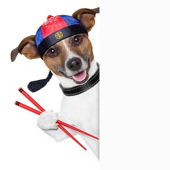 dog with chop sticks who likes rice for dogs