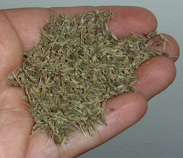 anise for dogs treats