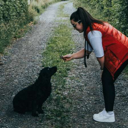 Woman in red vest giving a black dog a bone